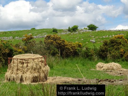 Around Lough Arrow